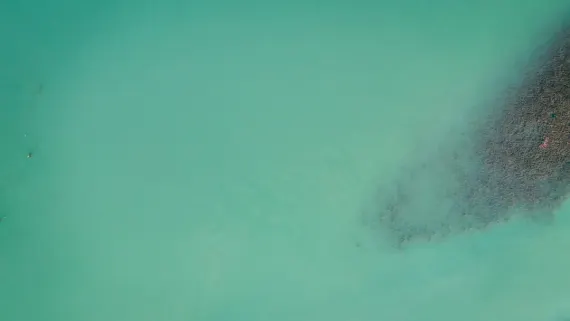 Kasyno Lucky Luke Wsparcie